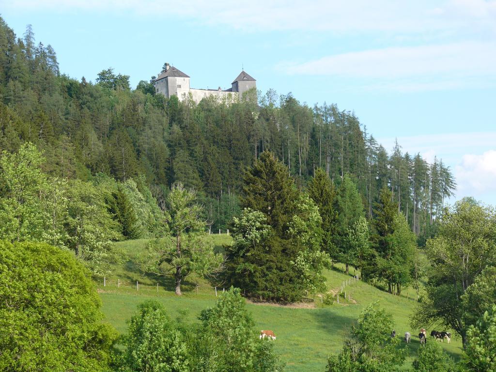Gasthof Hubertus Saalfelden Camera foto